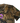 ケーキ vs. パイ T ヘザーブラック