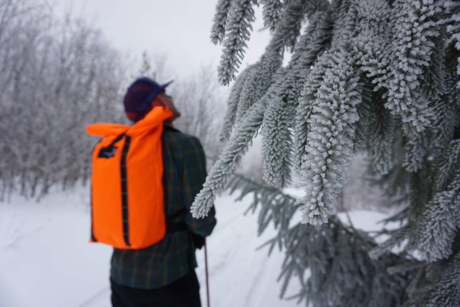 ORGANIC CLIMBING – Organic Climbing