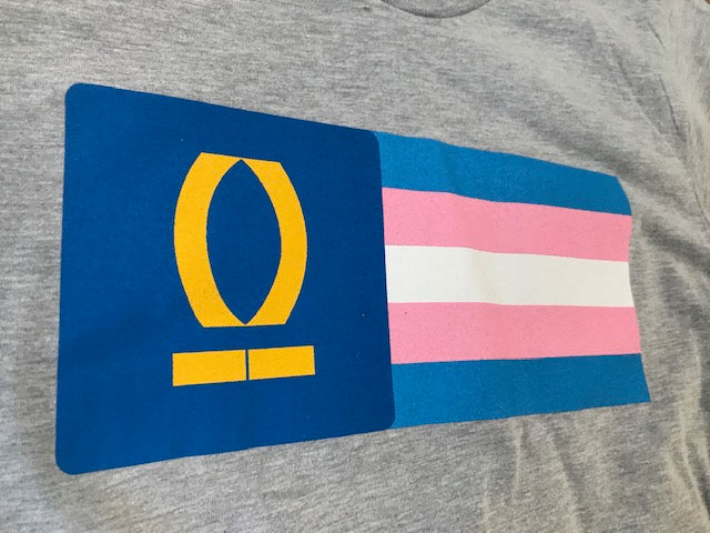 Transgender Pride Logo T